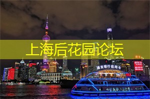 上海新茶工作室：发现上海新茶工作室的秘密基地：一场激发五感的茶叶探险！